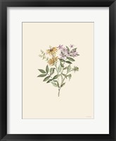 Botanical Mix I Framed Print