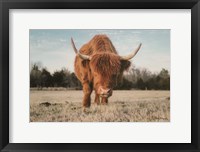 Framed Cow Portrait