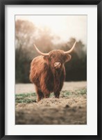Framed Portrait of a Cow