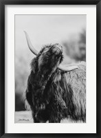 Framed Itchy Cow I