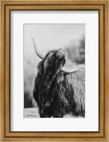 Framed Itchy Cow I