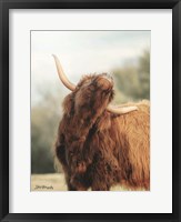 Framed Itchy Cow II