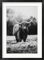 Framed Portrait of a Cow