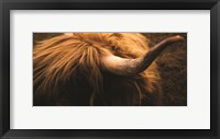 Framed Highland Horn III