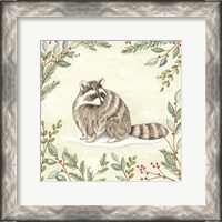 Framed Woodland Animals Raccoon