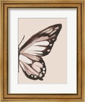 Framed Butterfly Wings II