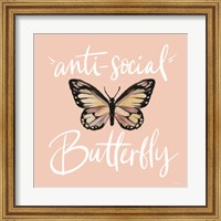 Framed Anti-Social Butterfly