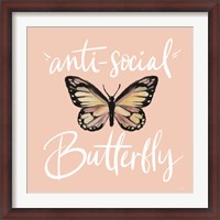Framed Anti-Social Butterfly