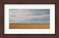 Framed Golden Summer Field