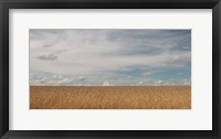 Framed Golden Summer Field