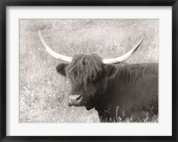 Framed Highland Cow in Spring