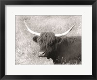 Framed Highland Cow in Spring