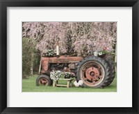 Framed Rooster in the Spring