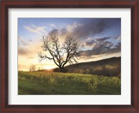 Framed Clark Valley Sunset