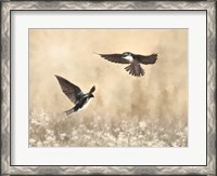Framed Dance of the Swallows