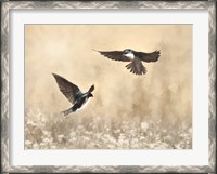 Framed Dance of the Swallows