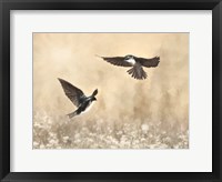 Framed Dance of the Swallows