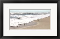 Framed Sandpipers