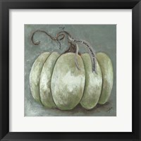 Framed Pumpkin Study