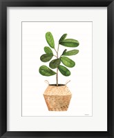 Basket Planter 1 Framed Print