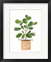 Basket Planter 3 Framed Print