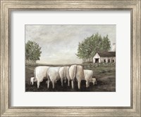 Framed Meeting of the Herd