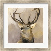 Framed Elk Study 1