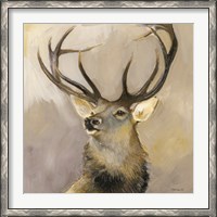 Framed Elk Study 1