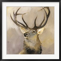 Framed Elk Study 1