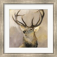 Framed Elk Study 1