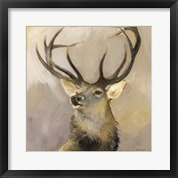 Framed Elk Study 1