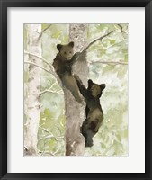 Framed Bear Cub in Tree 1