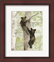 Framed Bear Cub in Tree 1