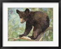 Framed Bear Cub in Tree 2
