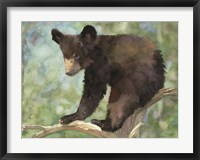 Framed Bear Cub in Tree 2
