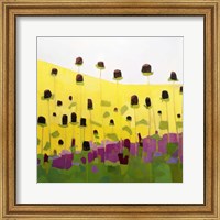 Framed Coneflowers With Pink