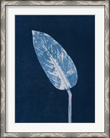 Framed Calathea Blue