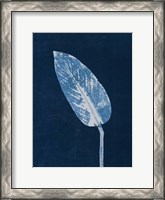 Framed Calathea Blue