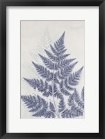 Chevril 1 Framed Print