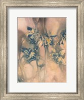 Framed Columbine 1 Blue