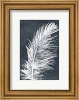 Framed Feather 1 Dark