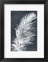 Framed Feather 1 Dark