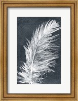 Framed Feather 1 Dark