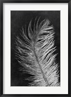 Framed Feather 3 Dark