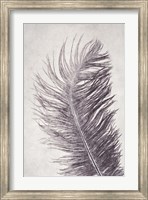 Framed Feather 4 Light
