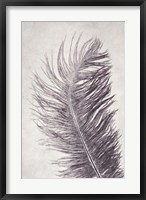 Framed Feather 4 Light