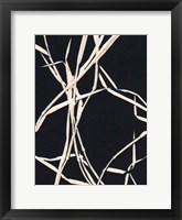 Framed Grass Detail Black