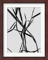Framed Grass Detail White