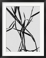 Framed Grass Detail White