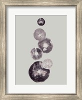 Framed Mushroom Light Grey